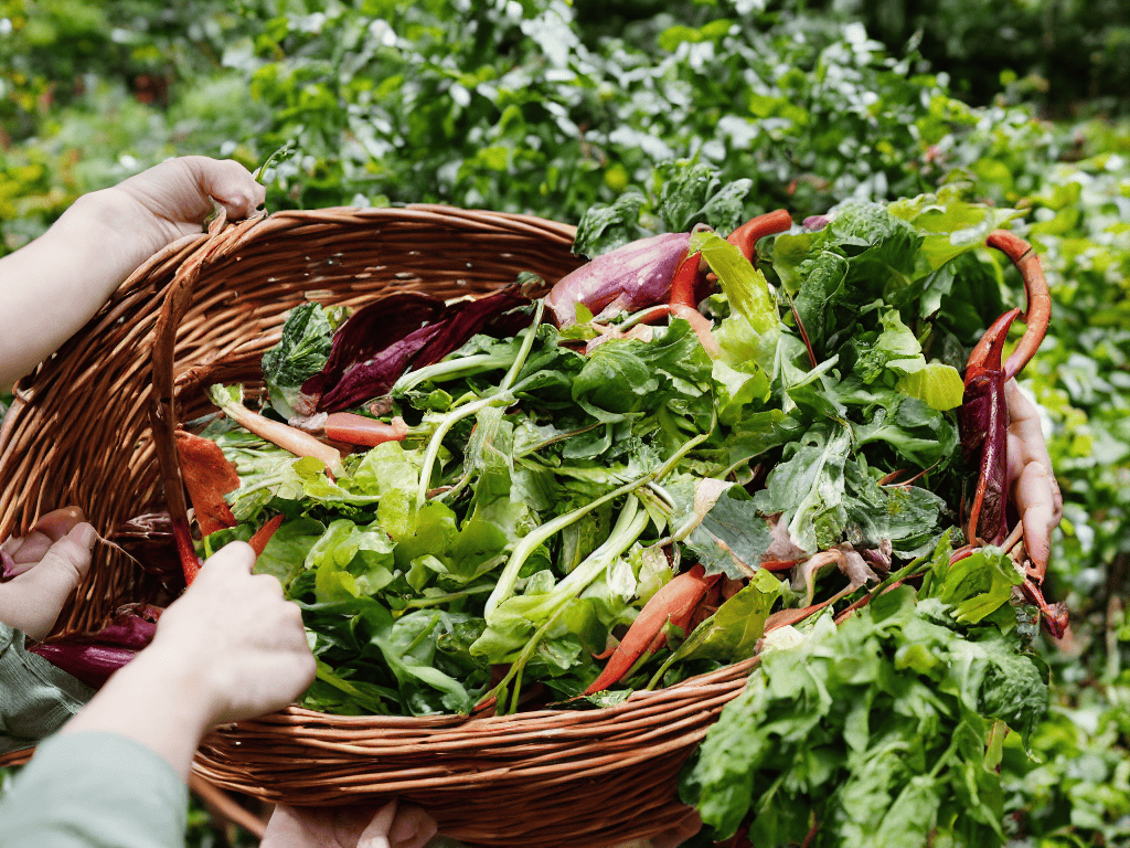 Don't Throw It Away! a Beginner's Guide to Composting at Home 6 Composting Hacks to Get Started